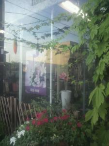 ゴーやさん❤｜「イシハラ」　（岐阜県安八郡神戸町の花キューピット加盟店 花屋）のブログ